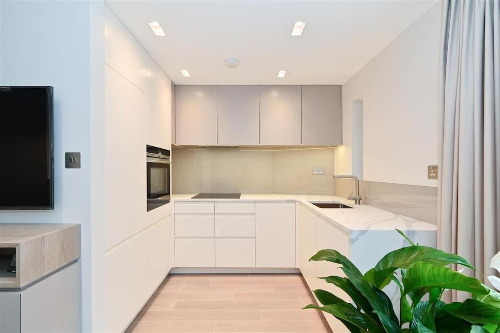 Ultra Luxury 3 Bed Mayfair Apartment ロンドン エクステリア 写真